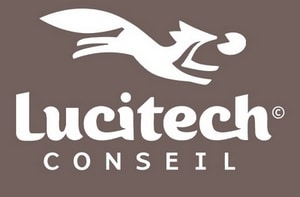 Logo Lucitech Conseil blanc sur fond marron