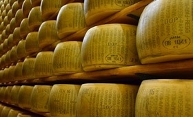 Meules de fromage symbolisant l'industrie agroalimentaire : produits laitiers, viande, poisson, plats cuisinés, confiserie, pâtisserie, arômes et colorants alimentaires